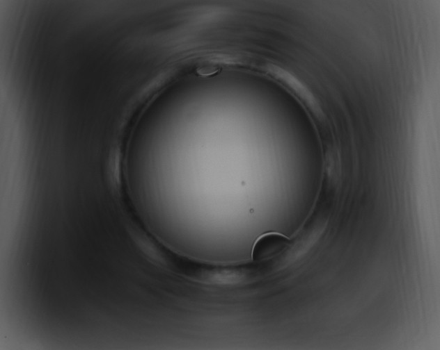 X0000100420445200806061406