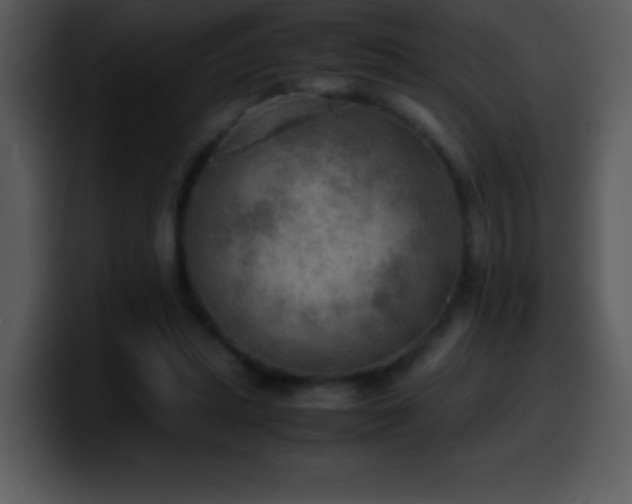 X0000100420447200806061406