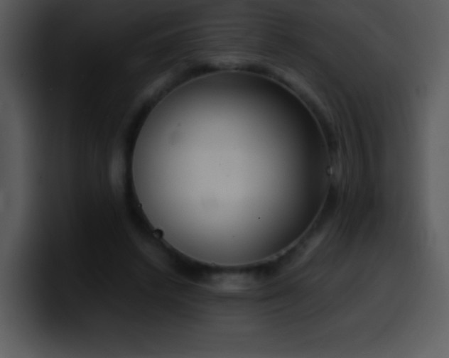 X0000100420448200806061406