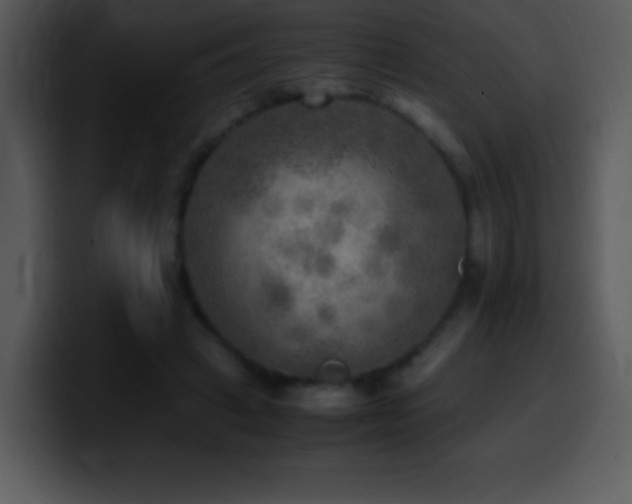 X0000100420449200806061406