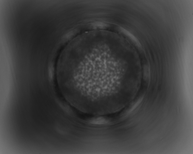 X0000100420451200806061406