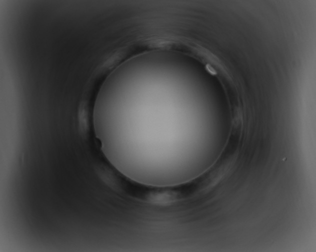 X0000100420452200806061406