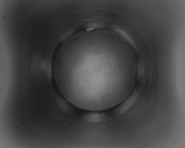 X0000100420453200806061406