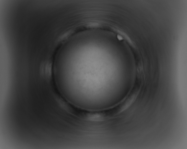 X0000100420454200806061406