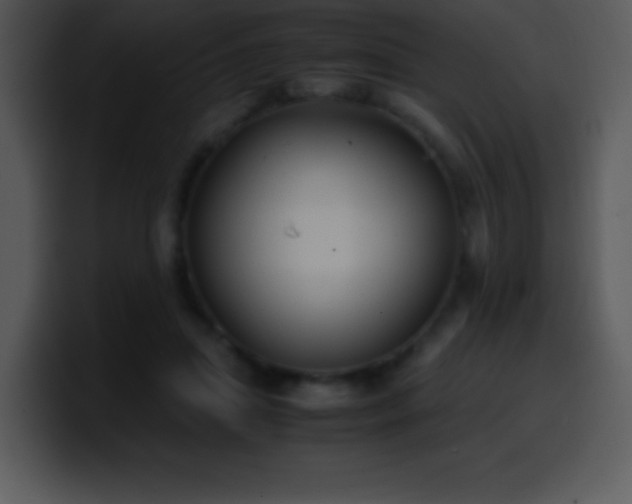 X0000100420455200806061406