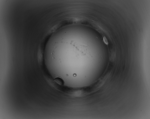 X0000100420456200806061406