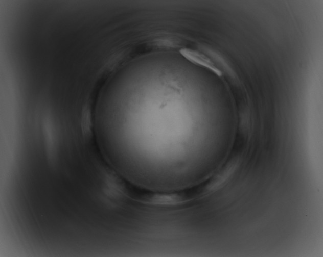 X0000100420457200806061406