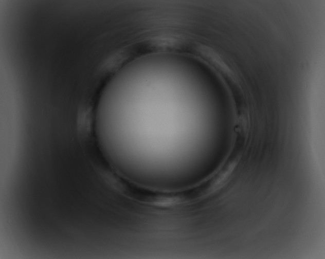 X0000100420458200806061406