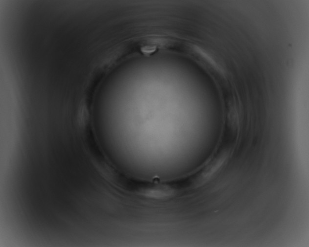 X0000100420459200806061406