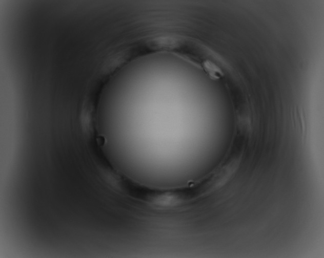 X0000100420460200806061406