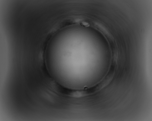 X0000100420461200806061406