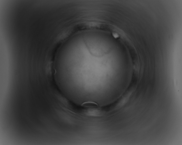 X0000100420462200806061406