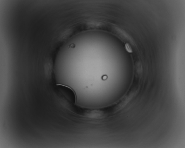 X0000100420463200806061407