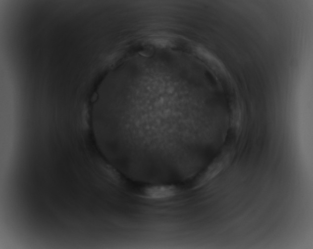 X0000100420465200806061407