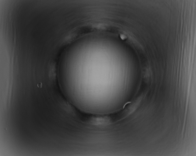 X0000100420466200806061407