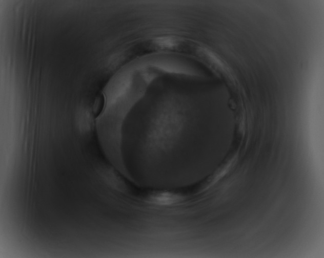 X0000100420467200806061407