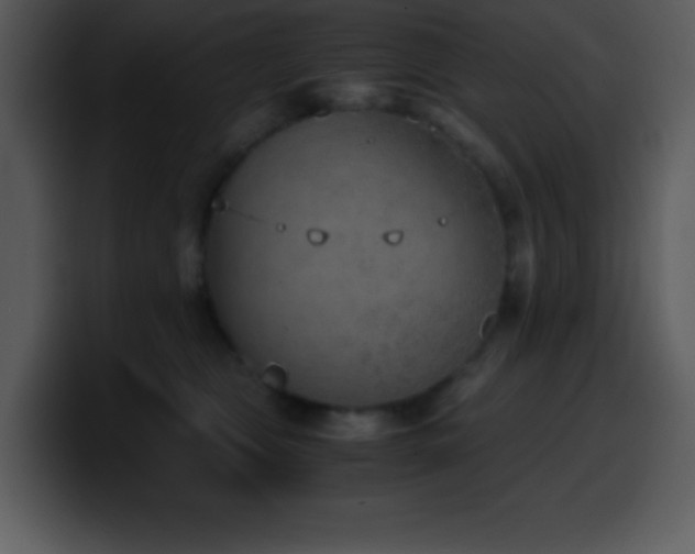 X0000100420469200806061407