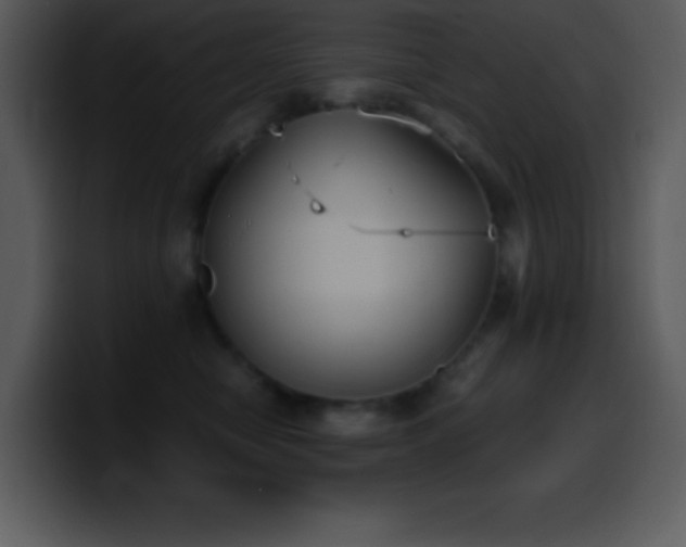 X0000100420470200806061407