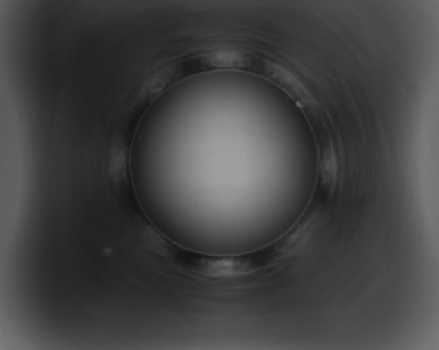 X0000100420473200806061407