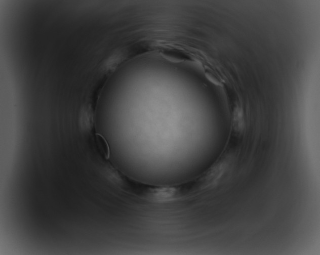 X0000100420474200806061407
