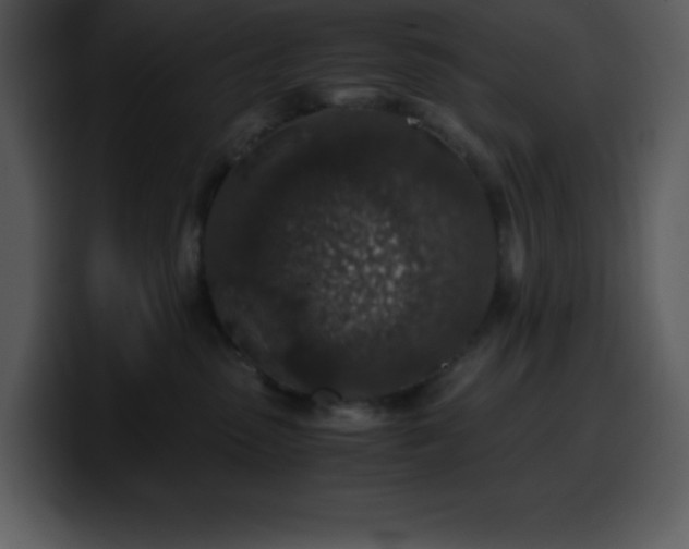 X0000100420475200806061407