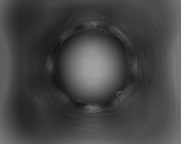 X0000100420477200806061407