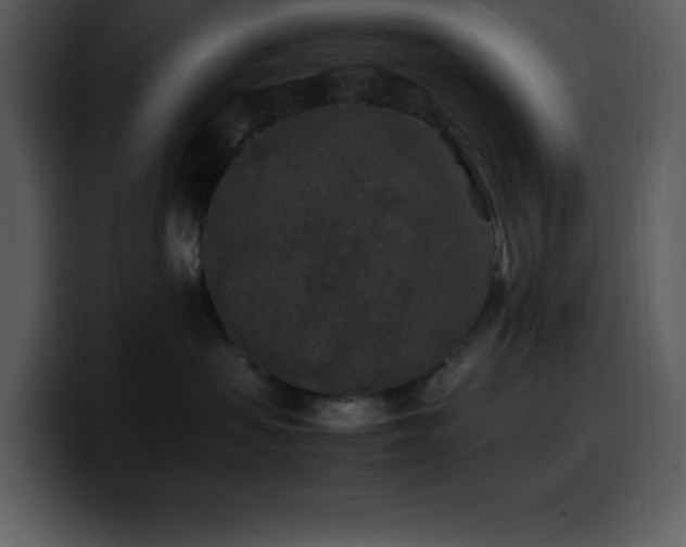 X0000100420479200806061407