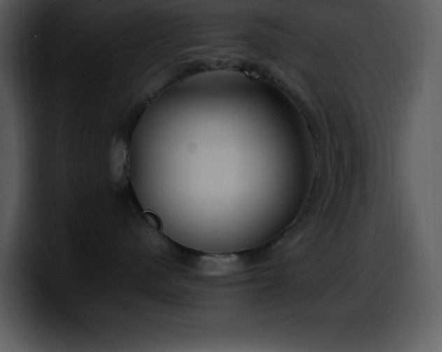 X0000100420480200806061407