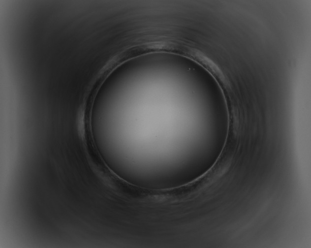 X0000100420482200806061406