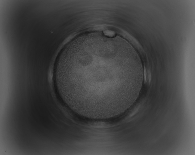 X0000100420483200806061406