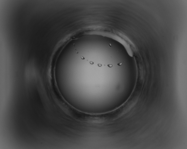 X0000100420486200806061406