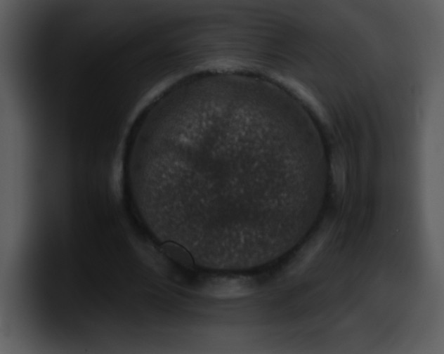 X0000100420488200806061406