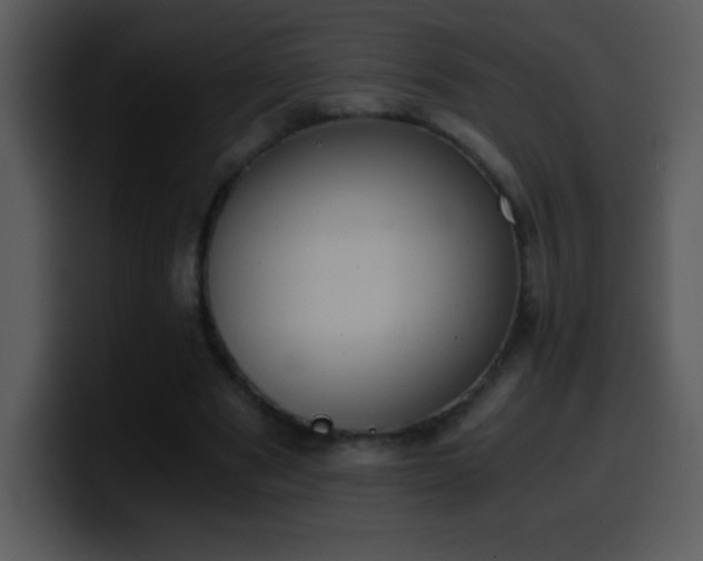 X0000100420489200806061406