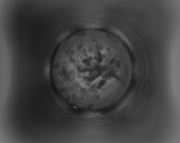 X0000100420491200806061406