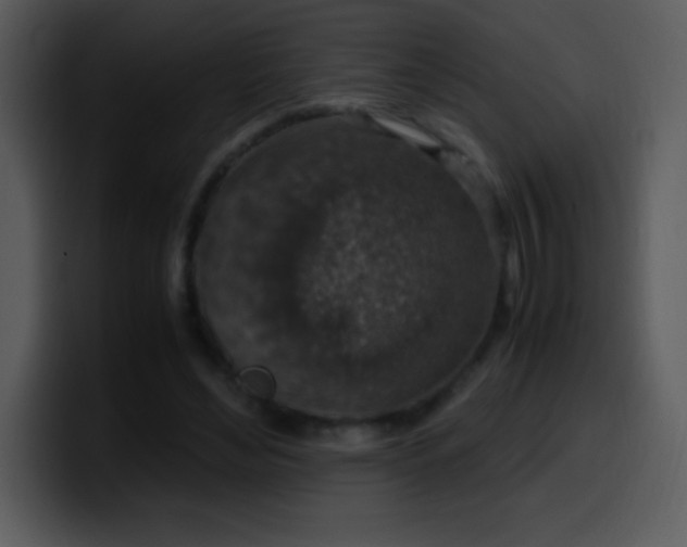 X0000100420492200806061406