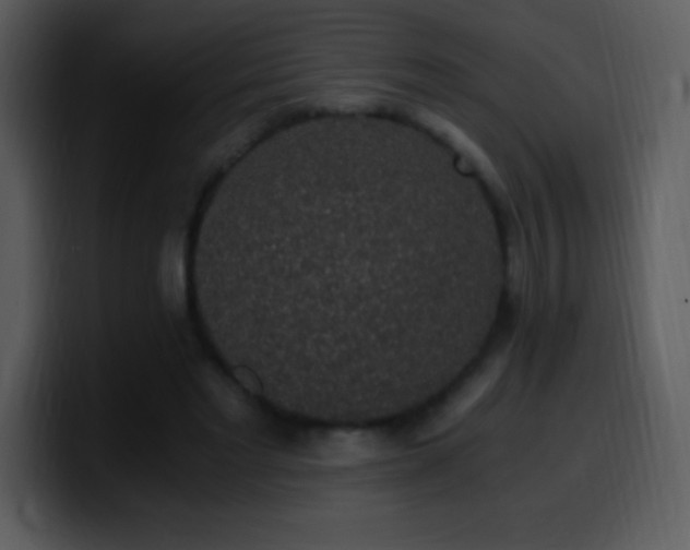 X0000100420493200806061406