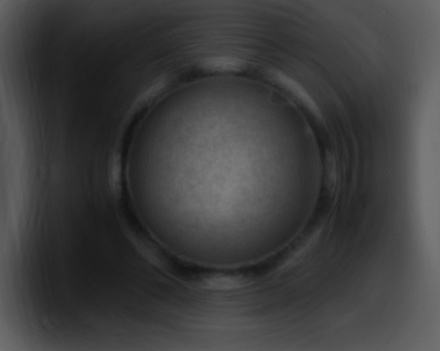 X0000100420494200806061406