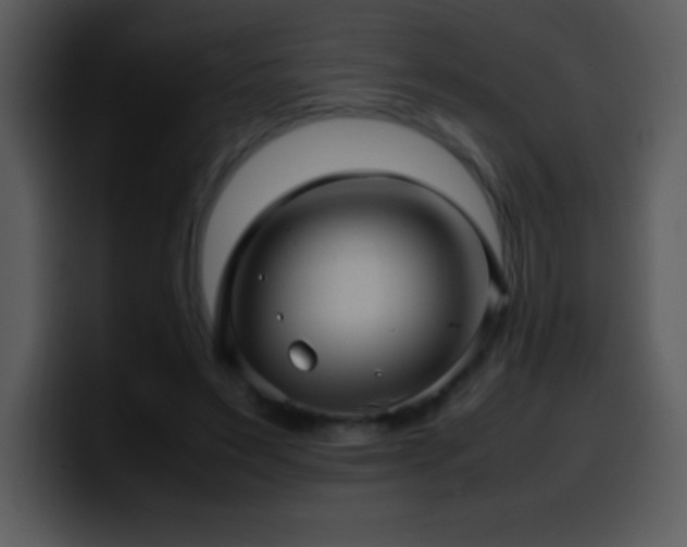 X0000100420495200806061406