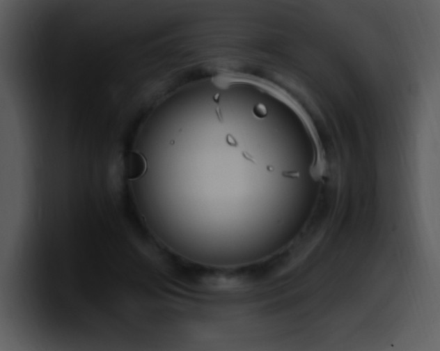 X0000100420498200806061406