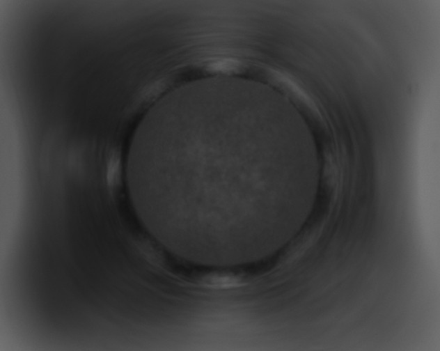 X0000100420502200806061406