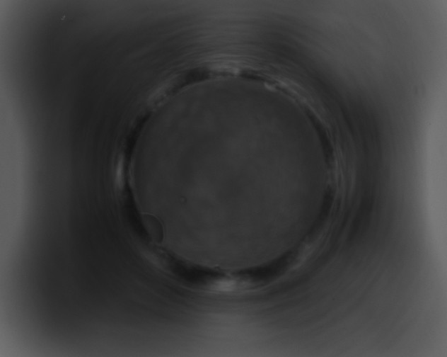 X0000100420504200806061406