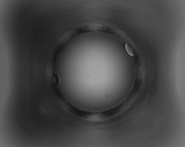 X0000100420505200806061406