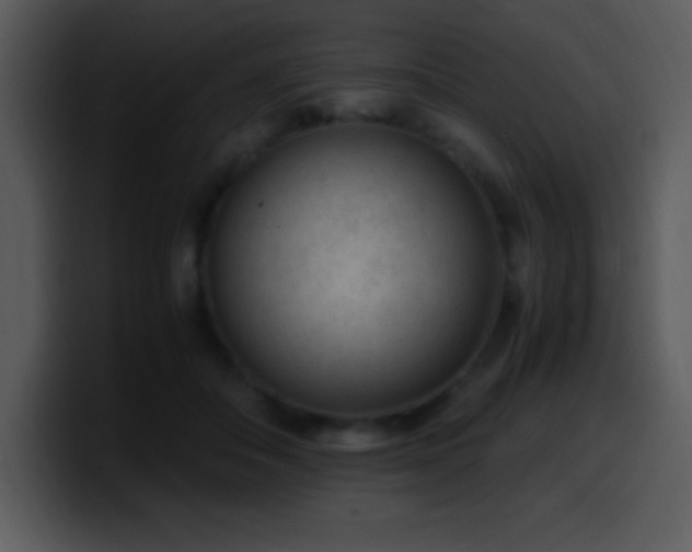 X0000100420506200806061406