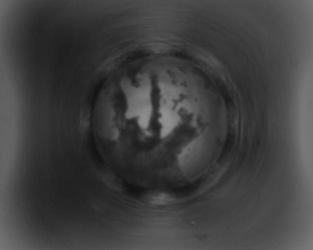 X0000100420507200806061406