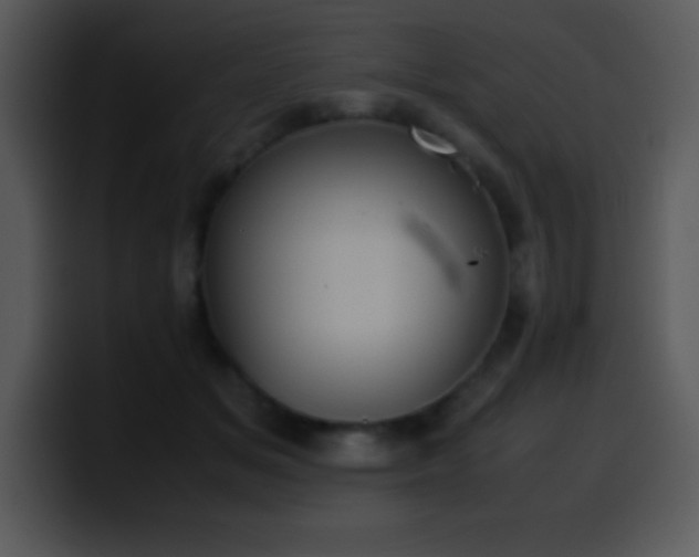 X0000100420509200806061406