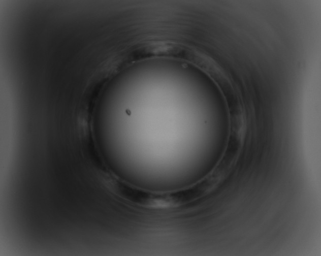 X0000100420510200806061406