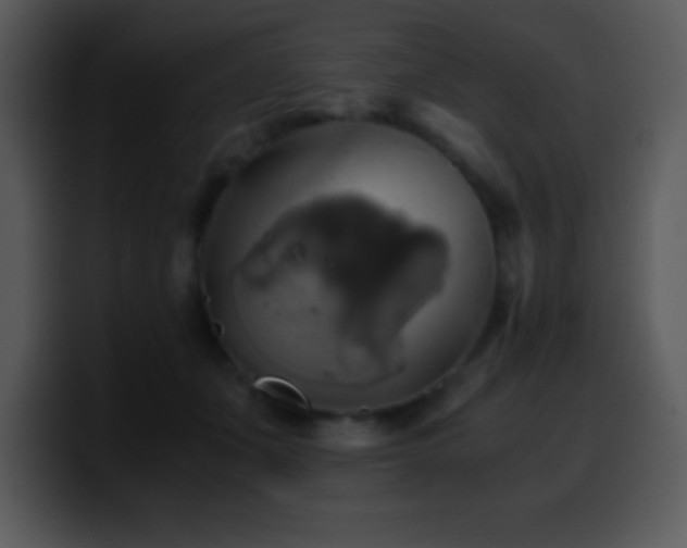 X0000100420511200806061406