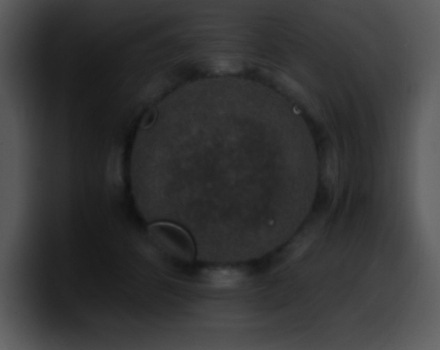X0000100420512200806061406