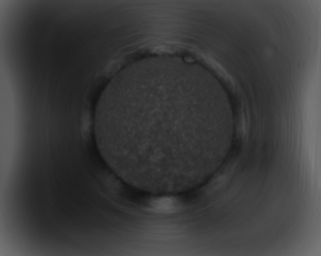X0000100420513200806061406