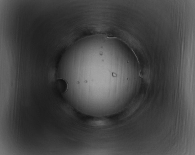 X0000100420514200806061406